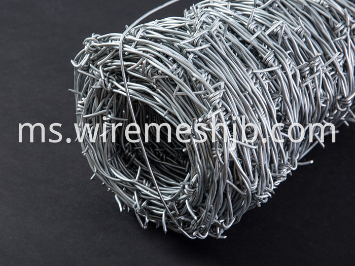 Galvanized Barb Wire